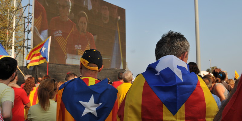 Imatge de manifestants durant la Diada 2014 escoltant el discurs