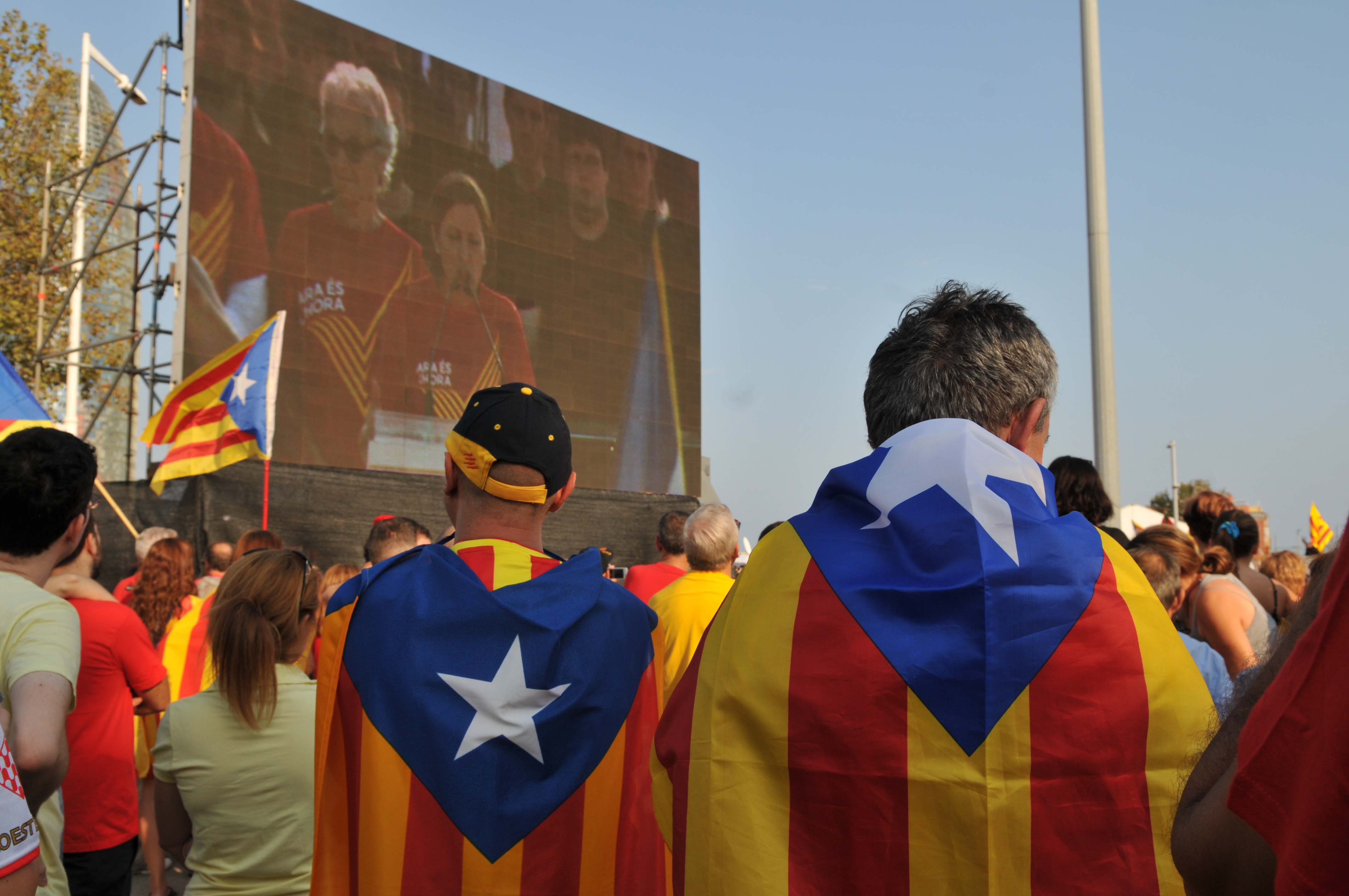 Imatge de manifestants durant la Diada 2014 escoltant el discurs