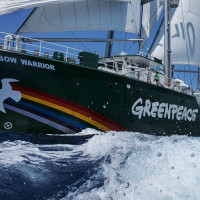 Greenpeace periodisme