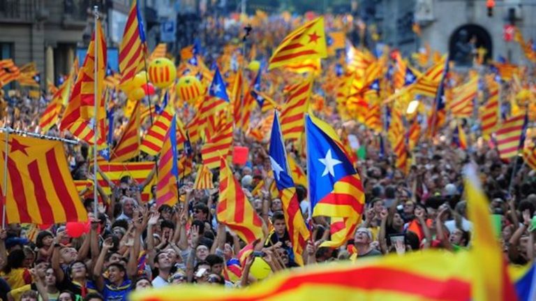 Un referèndum, 20 definicions