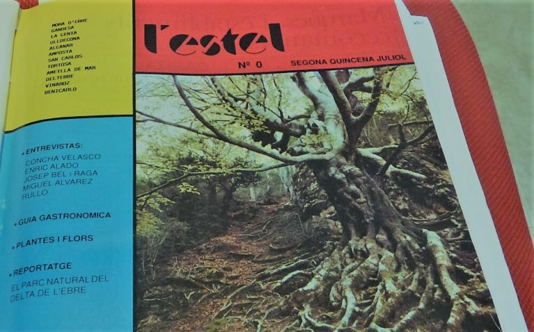 Història d’una constel·lació tortosina