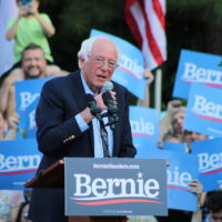 Bernie Sanders primàries EUA campanya