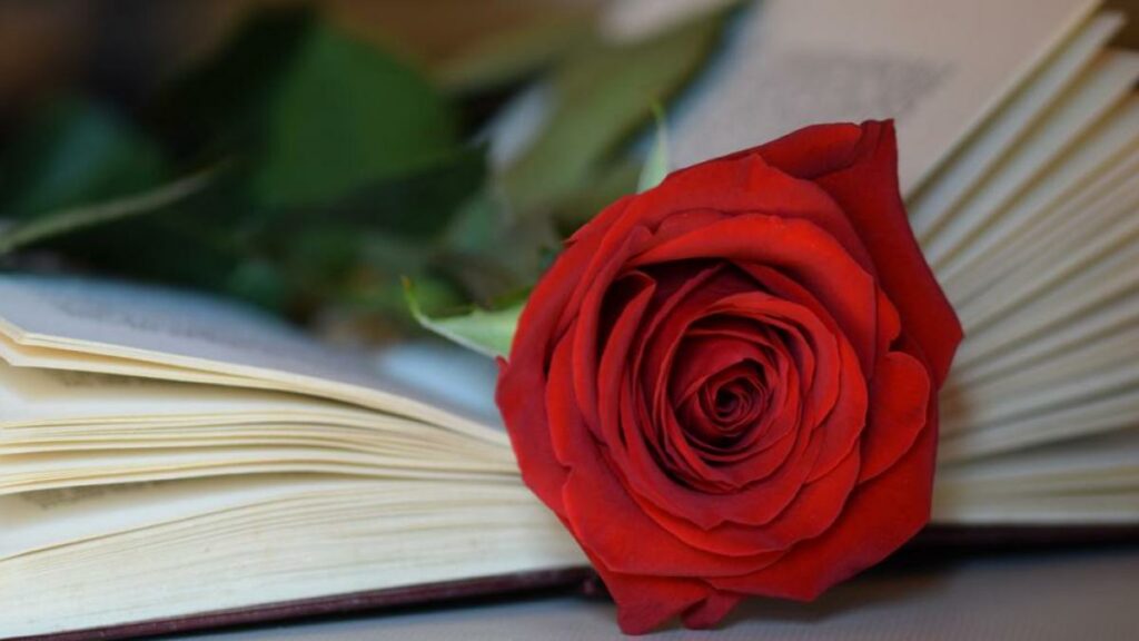 llibres periodisme sant jordi