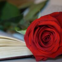 llibres periodisme sant jordi