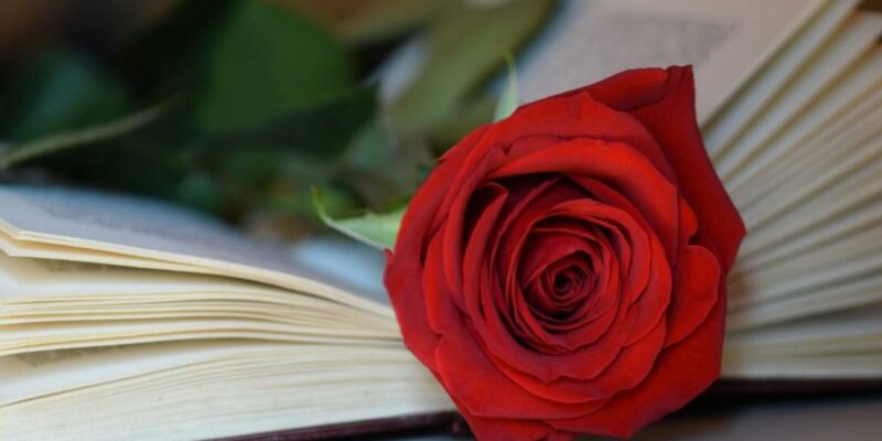 llibres periodisme sant jordi