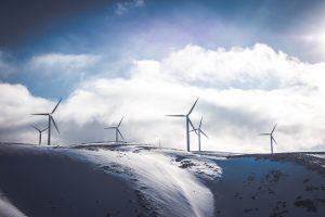 La consciència sobre el canvi climàtic ha impulsat nombroses iniciatives de divulgació sobre el medi ambient. Foto: Jason Blackeye (Unsplash)