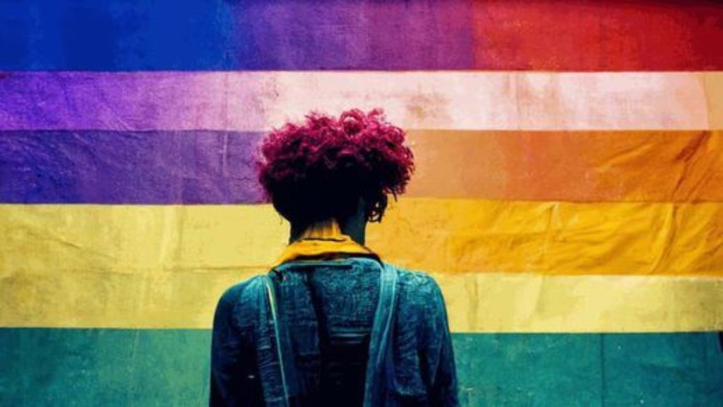lgtbi mitjans